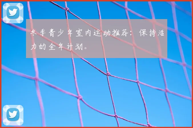 冬季青少年室内运动推荐:保持活力的全年计划。