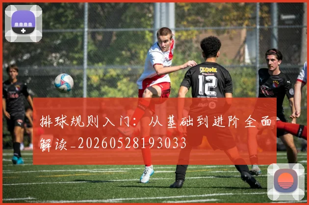 排球规则入门:从基础到进阶全面解读_20260528193033