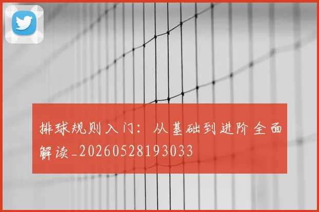 排球规则入门：从基础到进阶全面解读_20260528193033